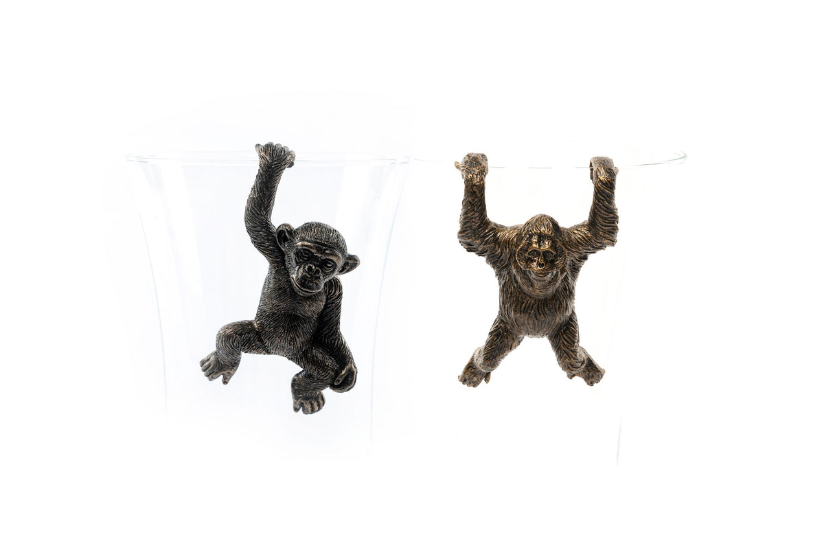 Chimpanzee & Orangutan