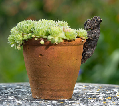 Antique Bronze Coloured Schnauzer Pot Buddy Plant Pot Hanger