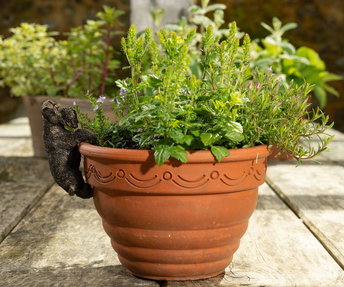 Antique Bronze Coloured Schnauzer Pot Buddy Plant Pot Hanger