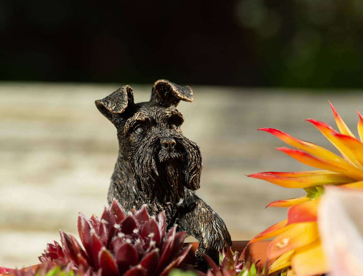 Antique Bronze Coloured Schnauzer Pot Buddy Plant Pot Hanger