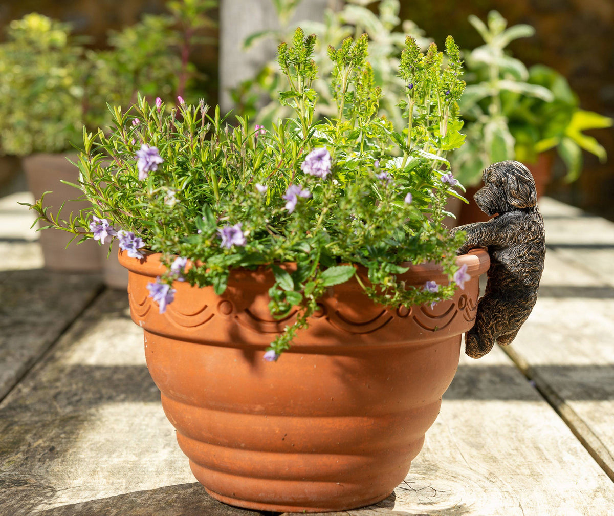 Antique Bronze Coloured Cockapoo Pot Buddy Plant Pot Hanger
