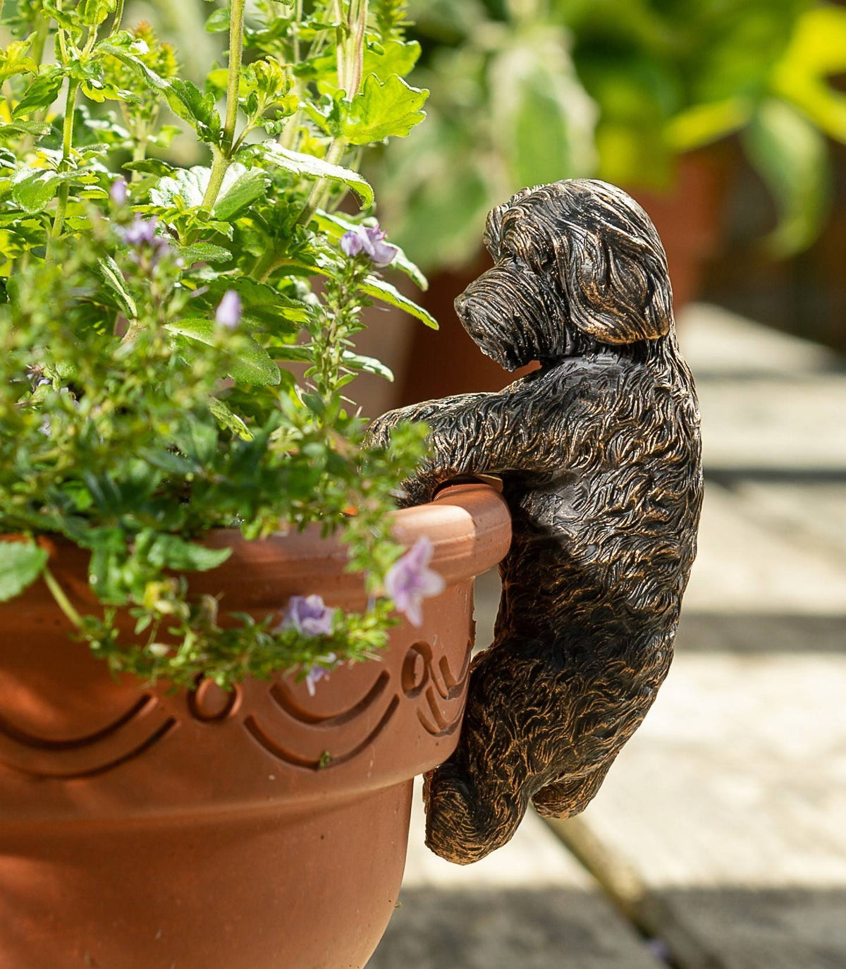Antique Bronze Coloured Cockapoo Pot Buddy Plant Pot Hanger