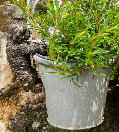 Antique Bronze Coloured Cockapoo Pot Buddy Plant Pot Hanger