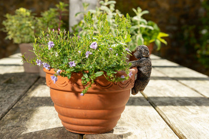 Antique Bronze Coloured Cockapoo Pot Buddy Plant Pot Hanger