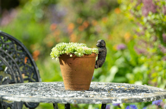 Antique Bronze Coloured Cockapoo Pot Buddy Plant Pot Hanger