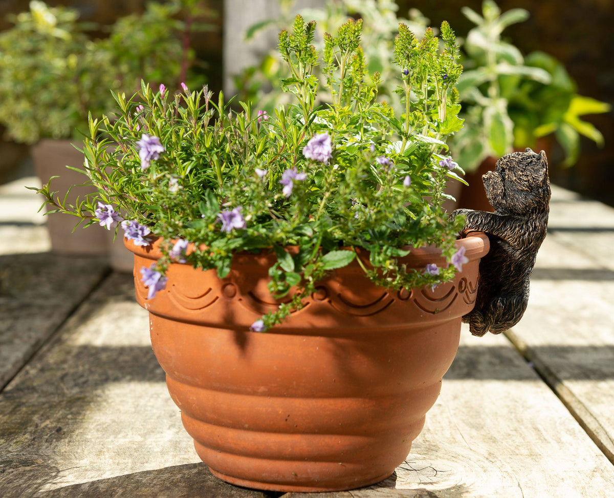 Antique Bronze Coloured West Highland Terrier Pot Buddy Plant Pot Hanger