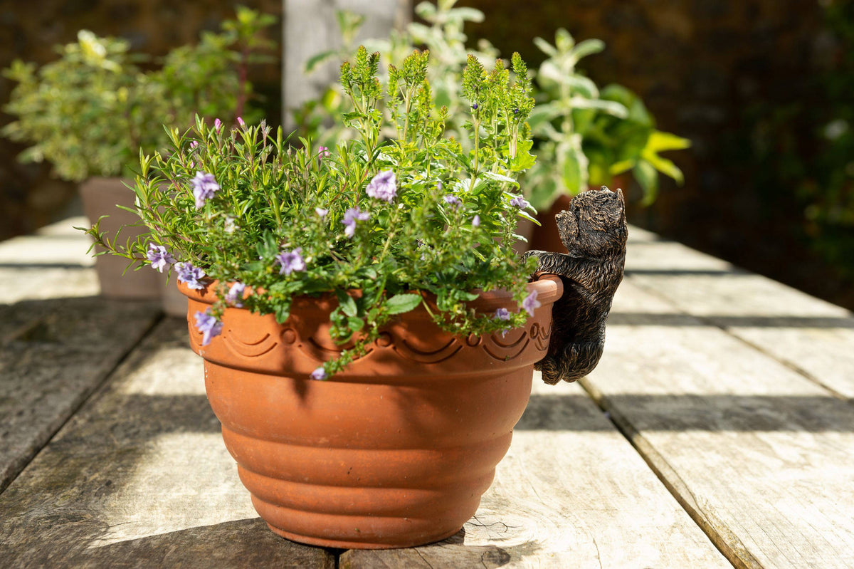 Antique Bronze Coloured West Highland Terrier Pot Buddy Plant Pot Hanger