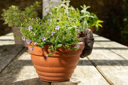 Antique Bronze Coloured Cavalier King Charles Spaniel Pot Buddy Plant Pot Hanger