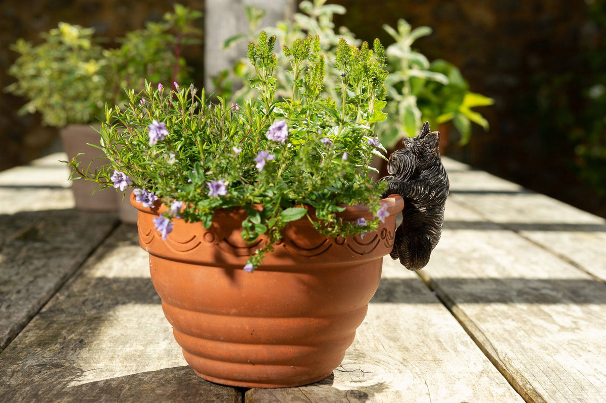 Antique Bronze Coloured Scottish Terrier Pot Buddy Pot Hanger