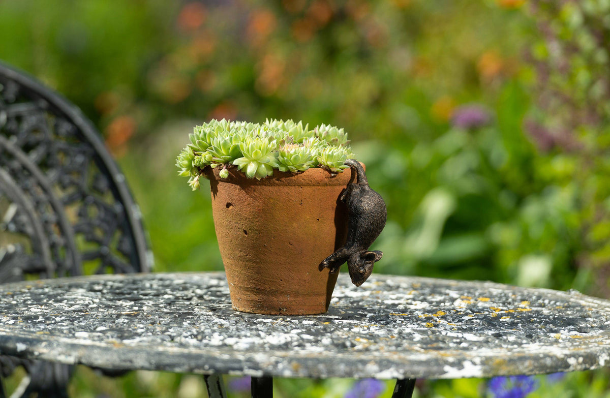 Antique Bronze Coloured Mouse Pot Buddy Plant Pot Hanger