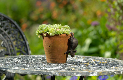 Antique Bronze Coloured Mouse Pot Buddy Plant Pot Hanger