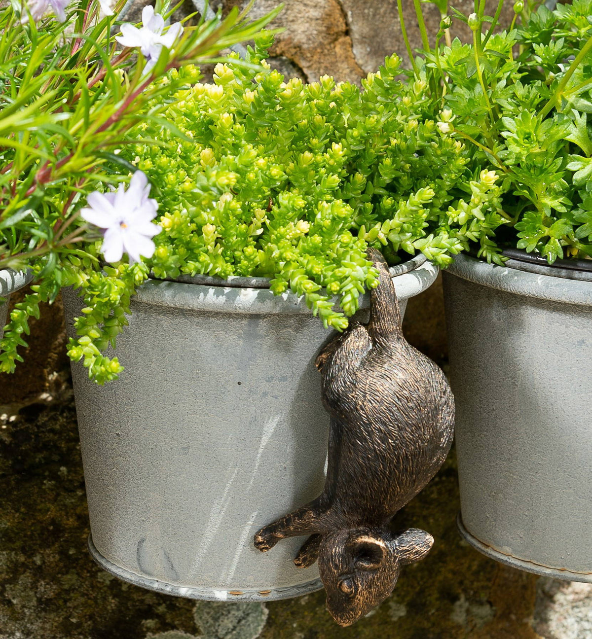 Antique Bronze Coloured Mouse Pot Buddy Plant Pot Hanger