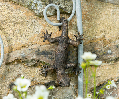 Antique Bronze Coloured Gecko Pot Buddy Plant Pot Hanger