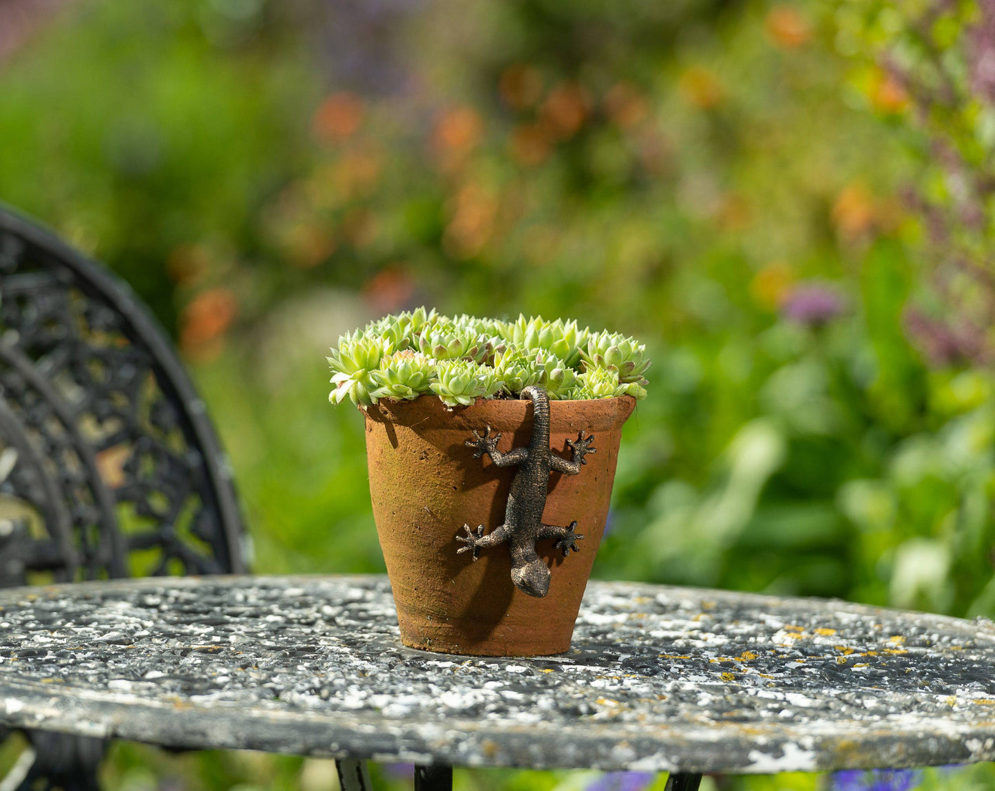 Antique Bronze Coloured Gecko Pot Buddy Plant Pot Hanger