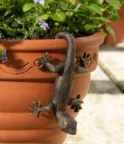 Antique Bronze Coloured Gecko Pot Buddy Plant Pot Hanger