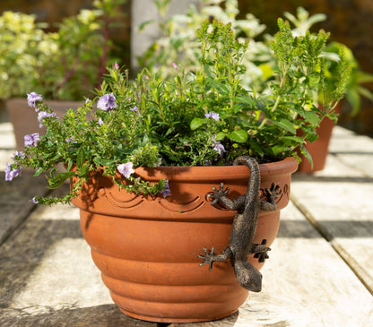 Antique Bronze Coloured Gecko Pot Buddy Plant Pot Hanger