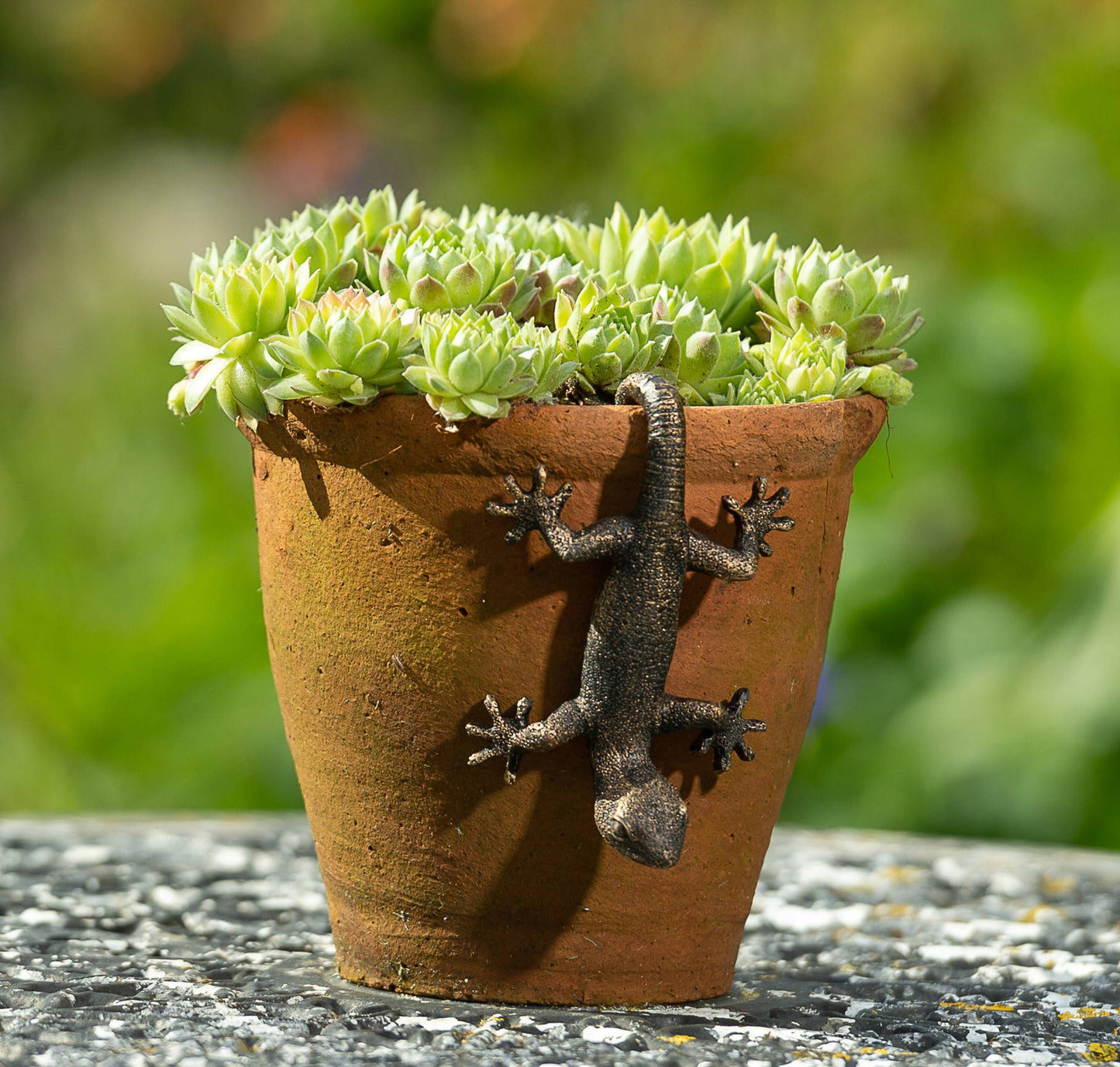 Antique Bronze Coloured Gecko Pot Buddy Plant Pot Hanger