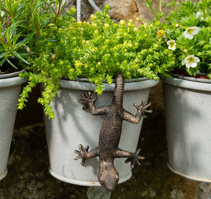 Antique Bronze Coloured Gecko Pot Buddy Plant Pot Hanger