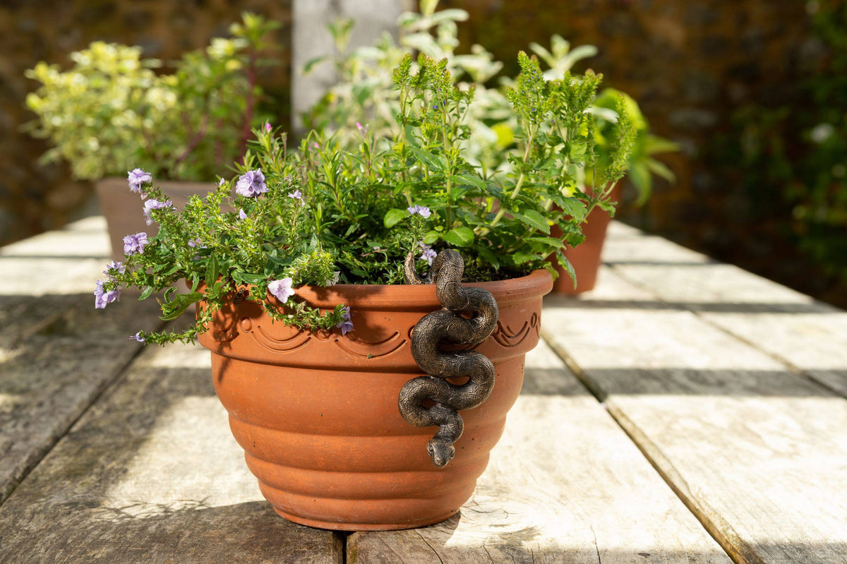 Antique Bronze Coloured Boa Constrictor Pot Buddy Plant Pot Hanger