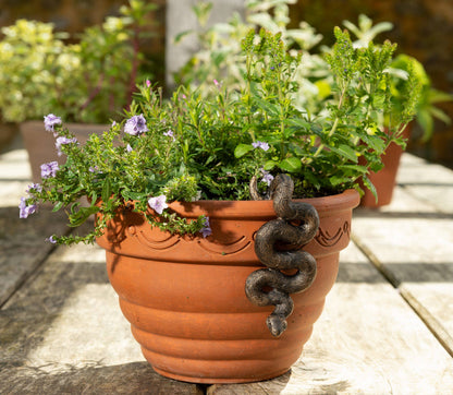 Antique Bronze Coloured Boa Constrictor Pot Buddy Plant Pot Hanger