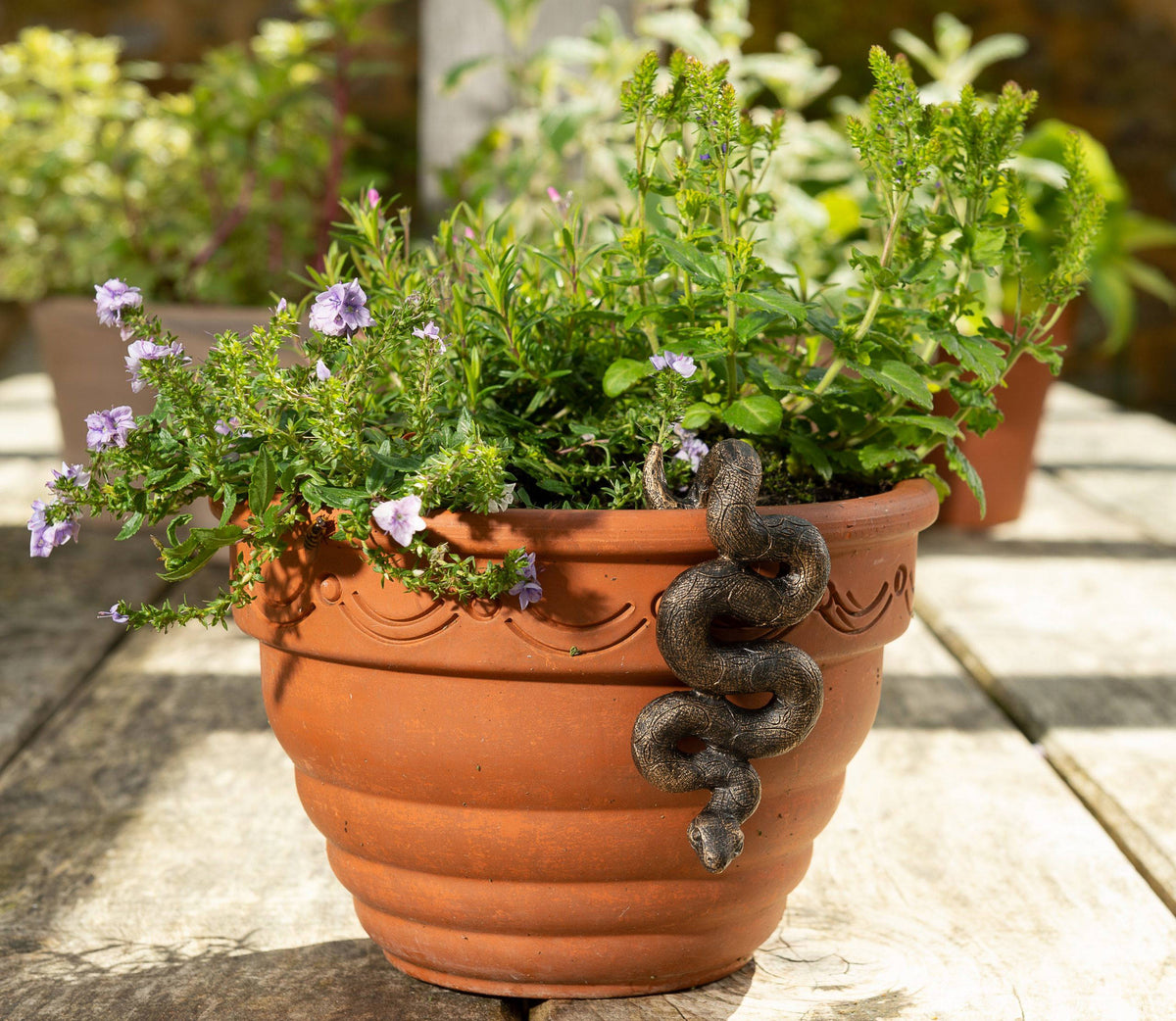 Antique Bronze Coloured Boa Constrictor Pot Buddy Plant Pot Hanger