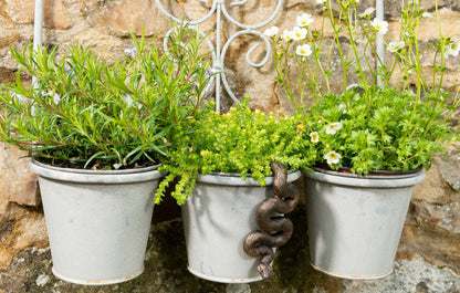 Antique Bronze Coloured Boa Constrictor Pot Buddy Plant Pot Hanger