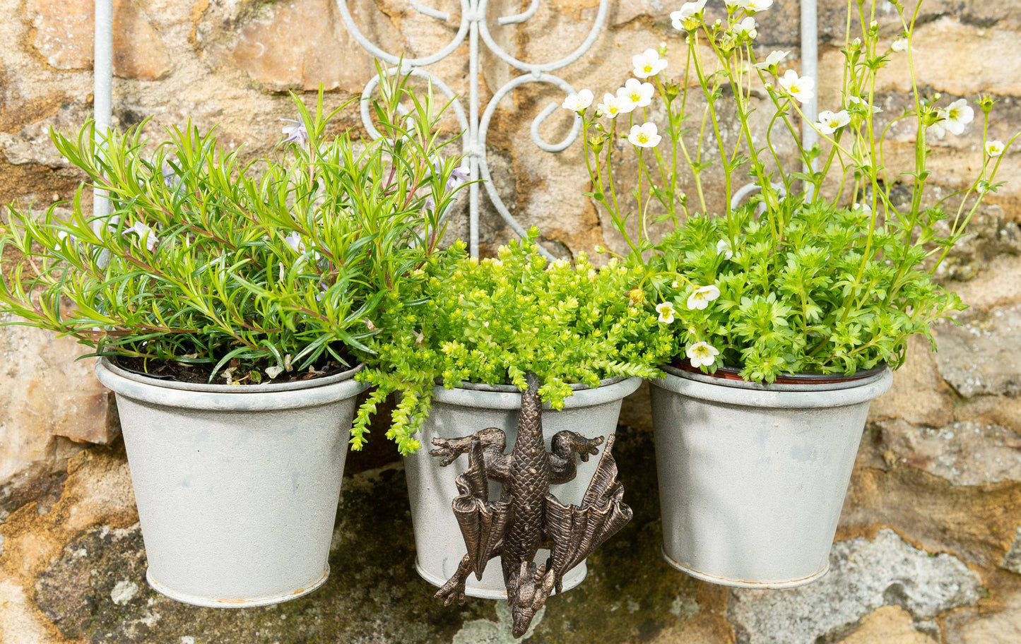 Antique Bronze Coloured Dragon Pot Buddy Plant Pot Hanger
