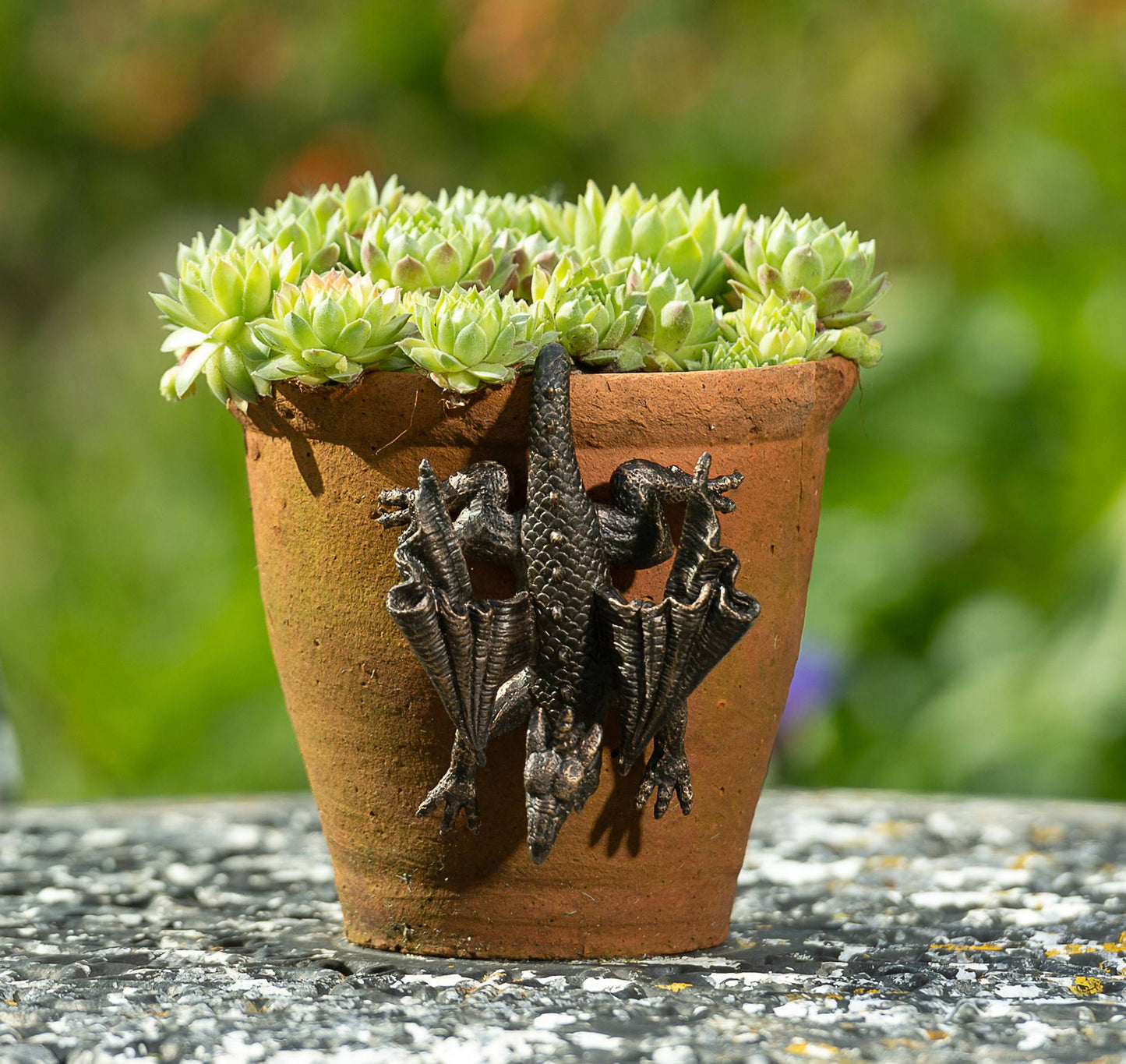 Antique Bronze Coloured Dragon Pot Buddy Plant Pot Hanger