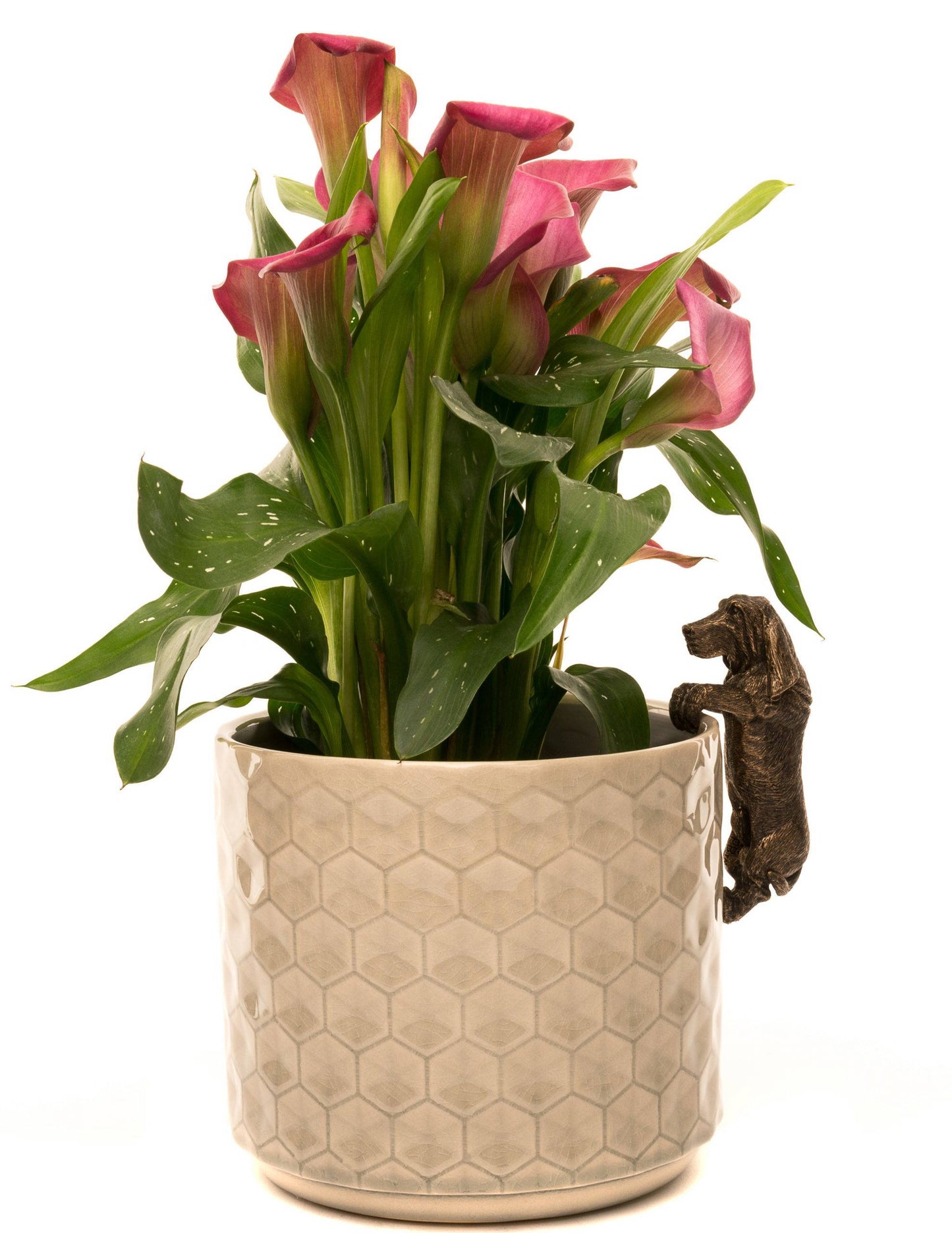 Basset Hound Plant Pot Hanger