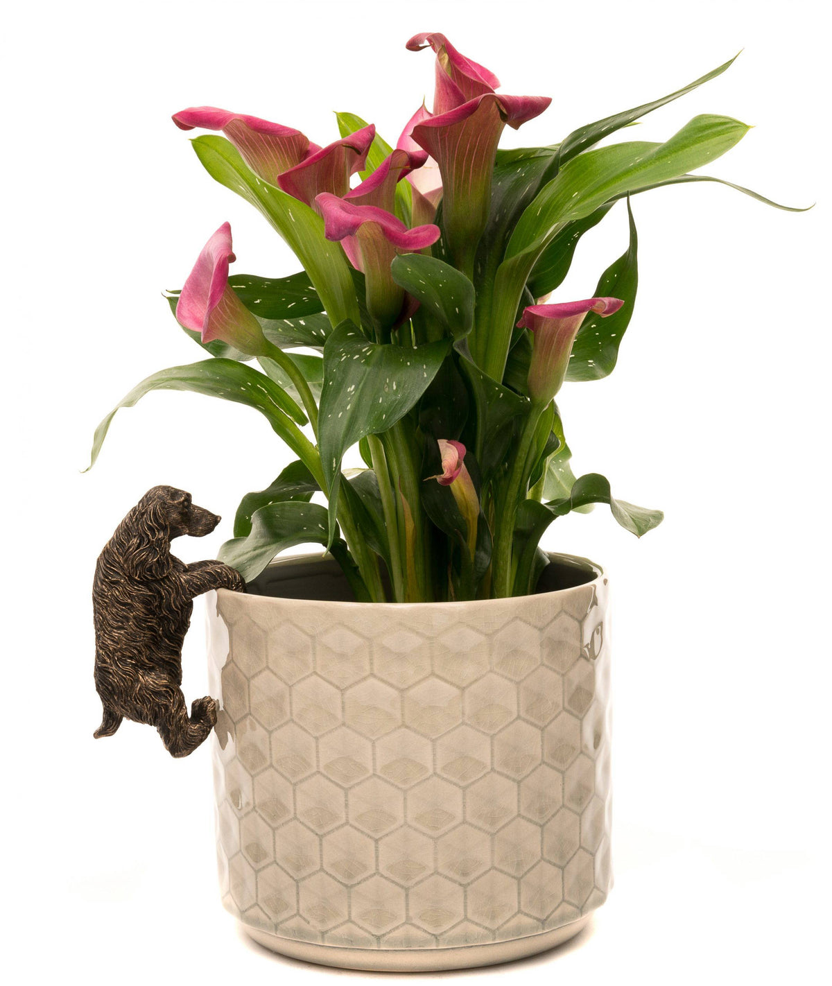 Cocker Spaniel Plant Pot Hanger