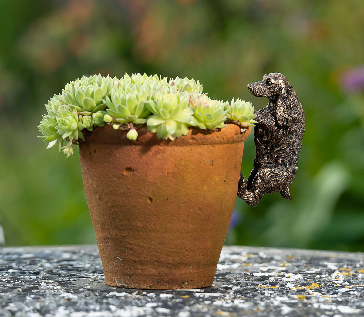 Cocker Spaniel Plant Pot Hanger