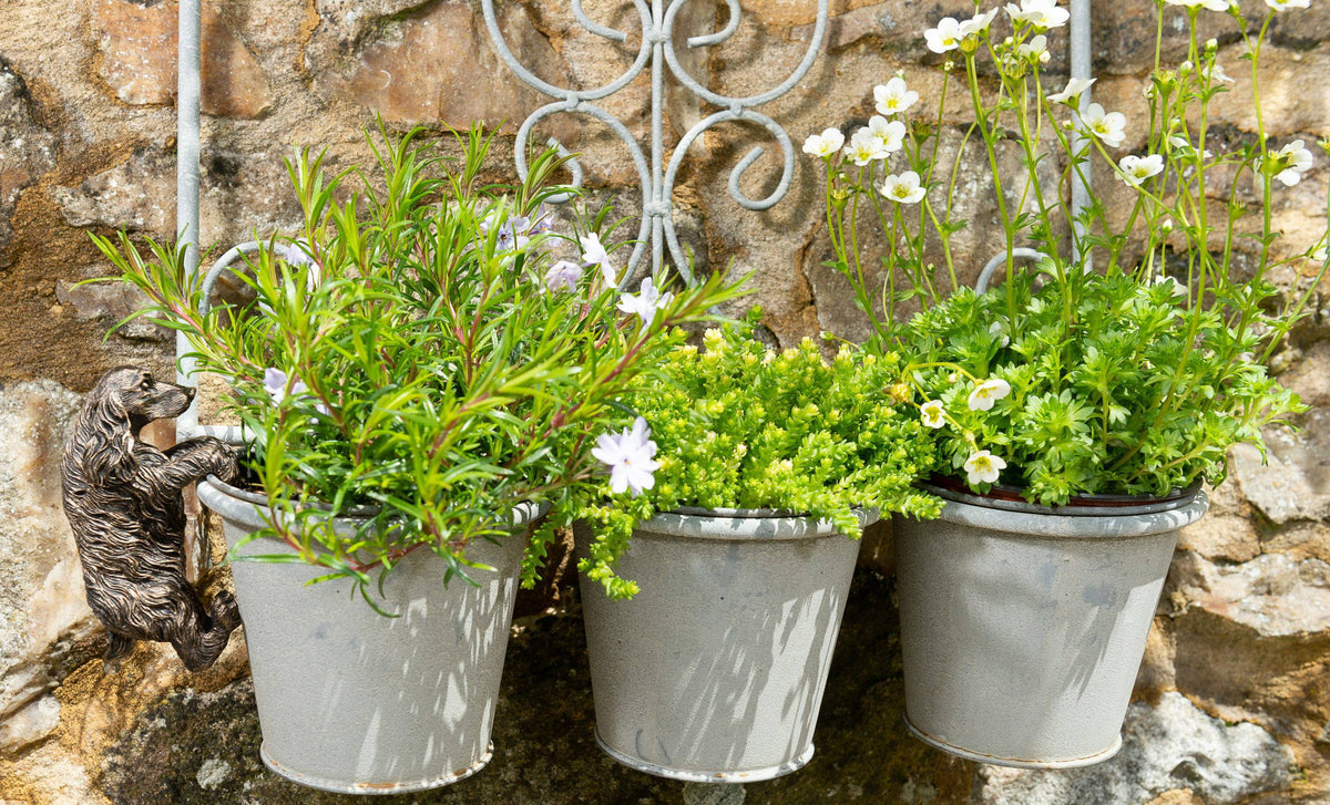 Cocker Spaniel Plant Pot Hanger