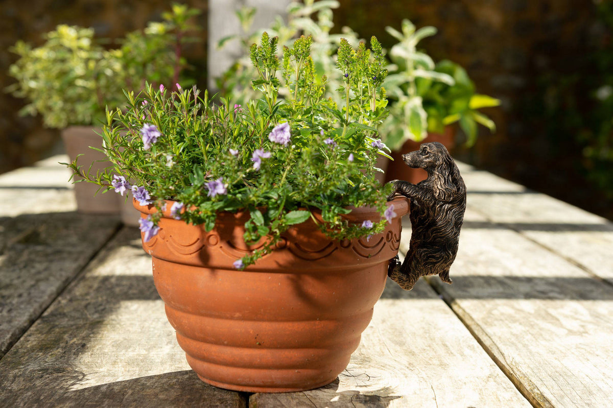 Cocker Spaniel Plant Pot Hanger