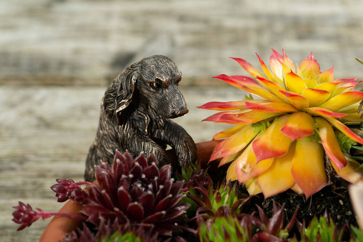 Cocker Spaniel Plant Pot Hanger