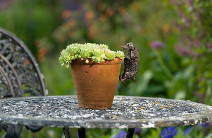 Cocker Spaniel Plant Pot Hanger