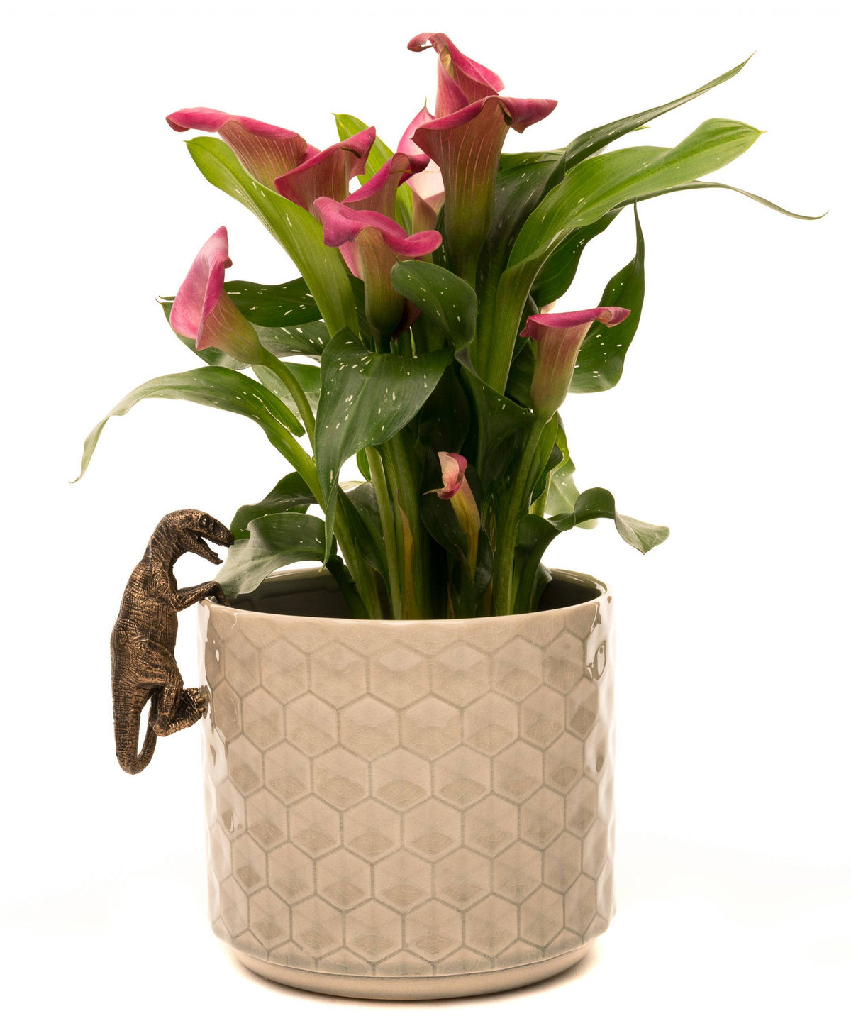 Velociraptor Plant Pot Hanger