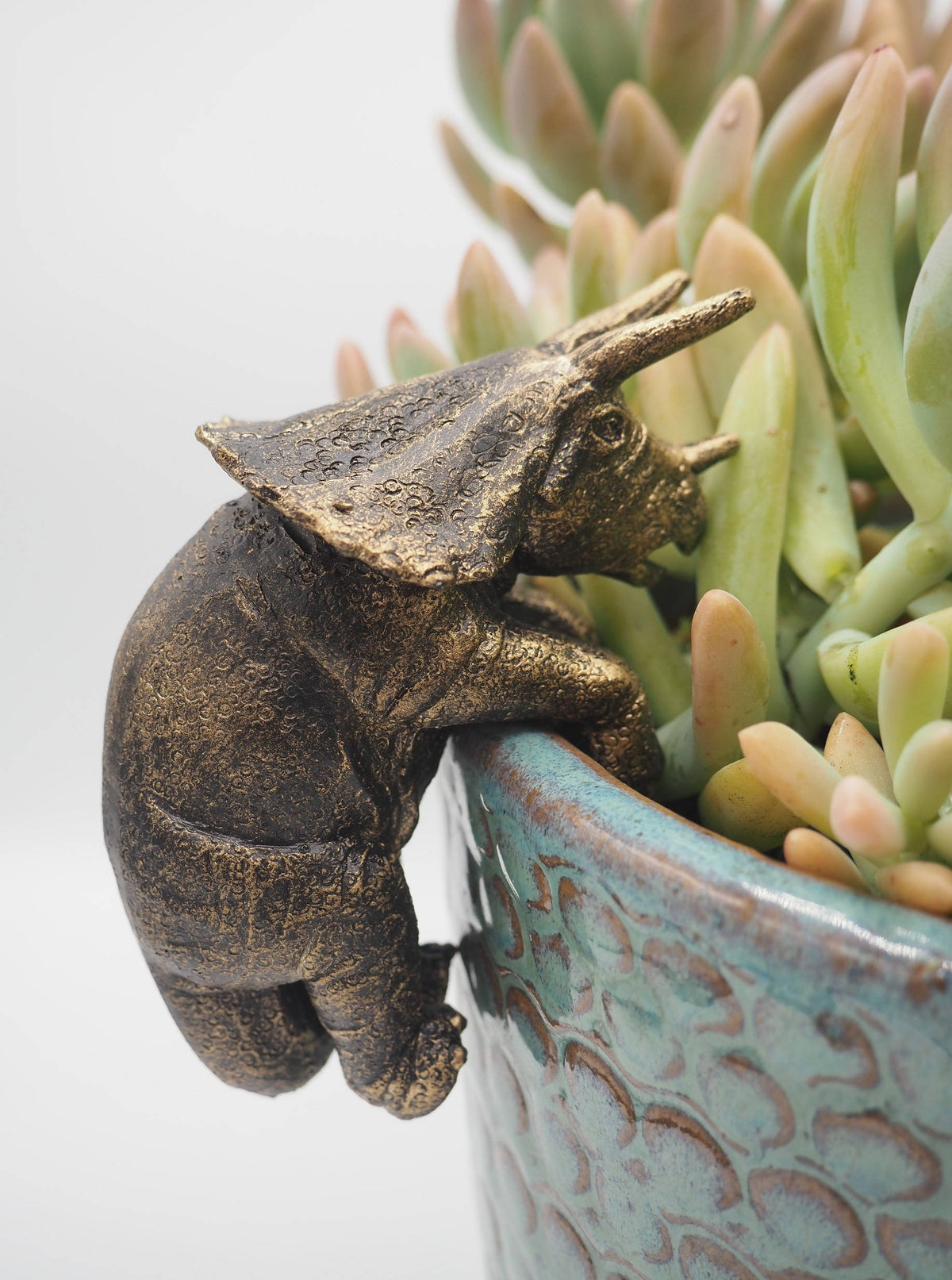 Triceratops Pot Buddies Plant Pot Hanger