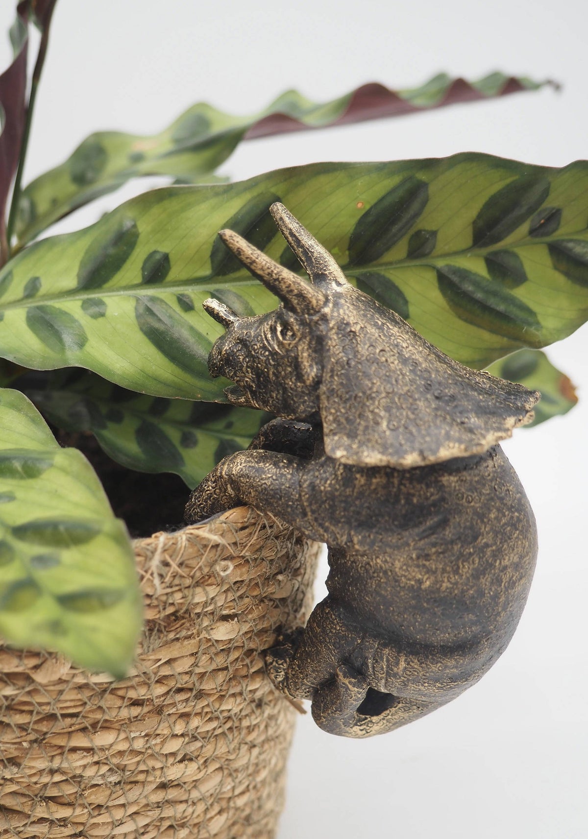 Triceratops Pot Buddies Plant Pot Hanger
