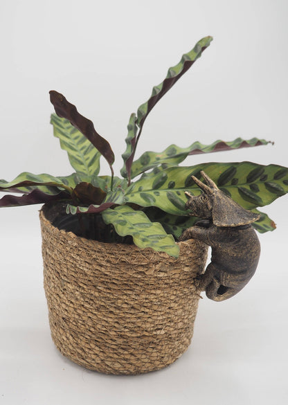 Velociraptor, Triceratops, Pteranodon Set of Three Pot Buddies Plant Pot Hangers