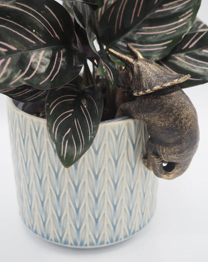 Triceratops Pot Buddies Plant Pot Hanger