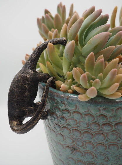 Brachiosaurus Pot Buddies Plant Pot Hanger