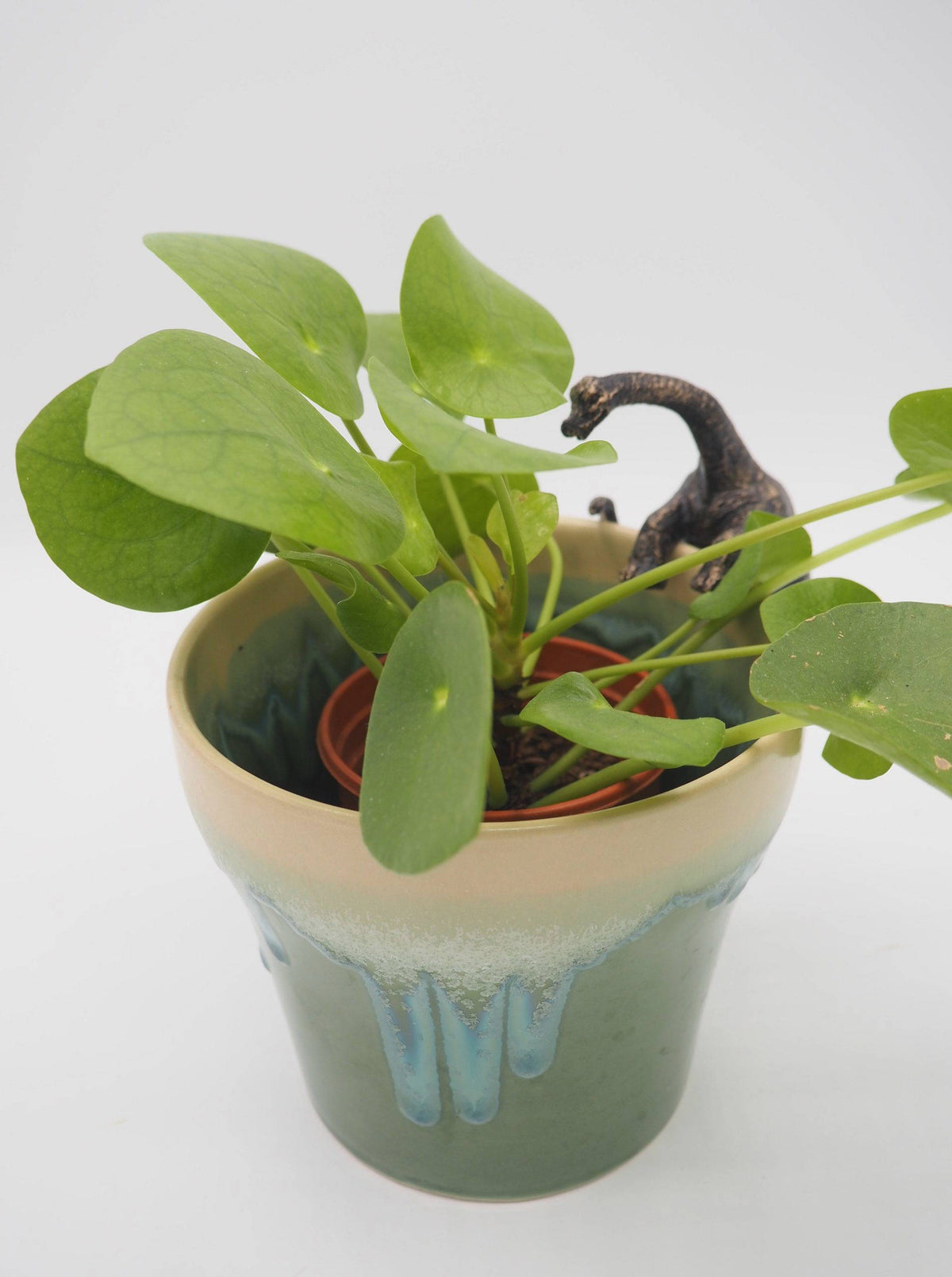 Brachiosaurus Pot Buddies Plant Pot Hanger