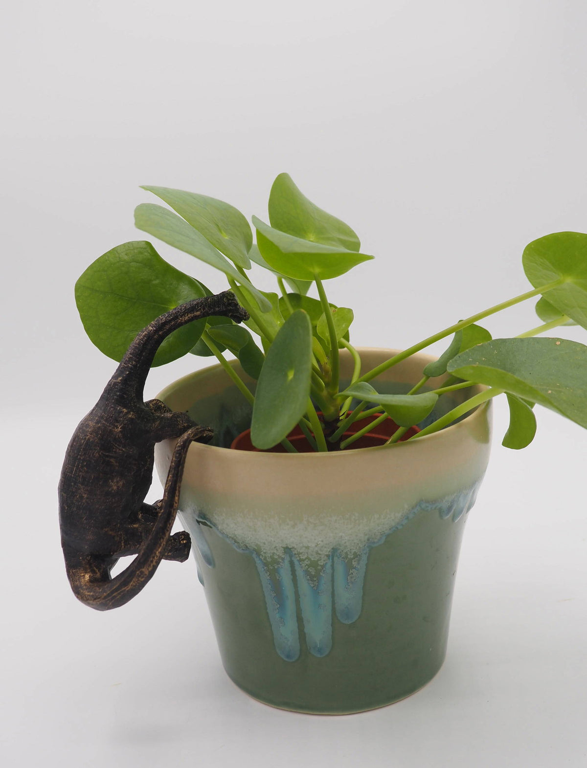 Brachiosaurus Pot Buddies Plant Pot Hanger