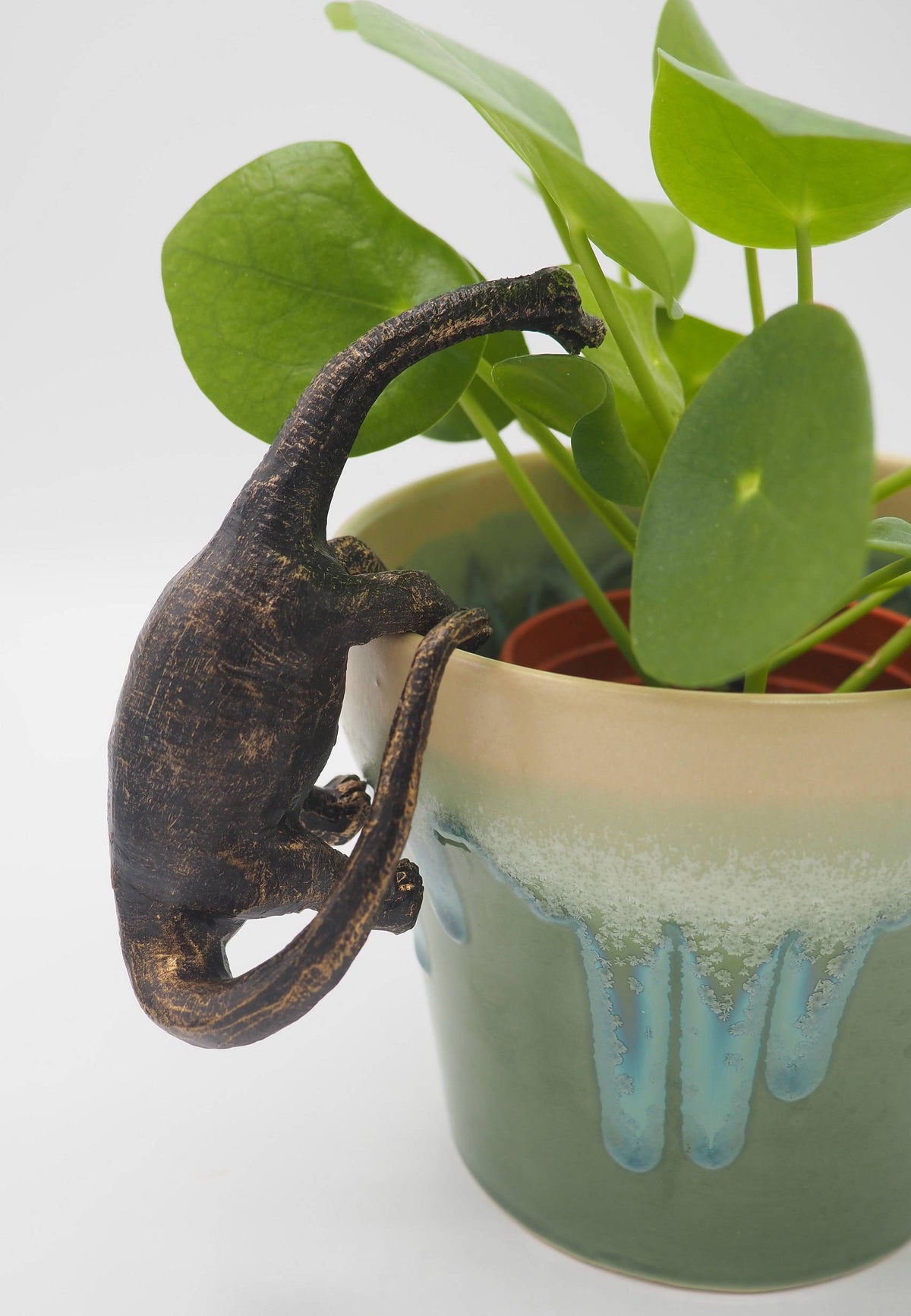 Brachiosaurus Pot Buddies Plant Pot Hanger