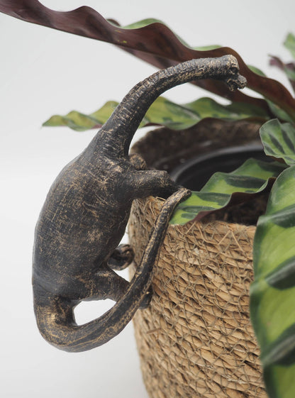 Brachiosaurus Pot Buddies Plant Pot Hanger