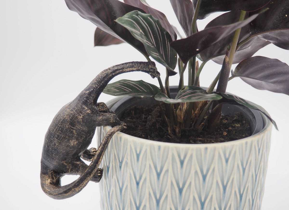 Trex, Stegosaurus, Brachiosaurus Set of Three Pot Buddies Plant Pot Hangers
