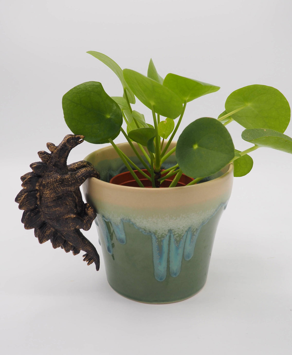 Stegosaurus Pot Buddies Plant Pot Hanger