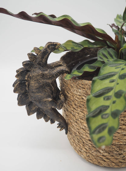 Stegosaurus Pot Buddies Plant Pot Hanger