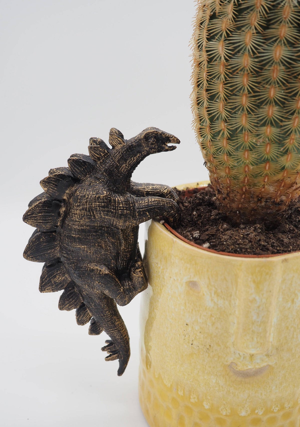 Stegosaurus Pot Buddies Plant Pot Hanger