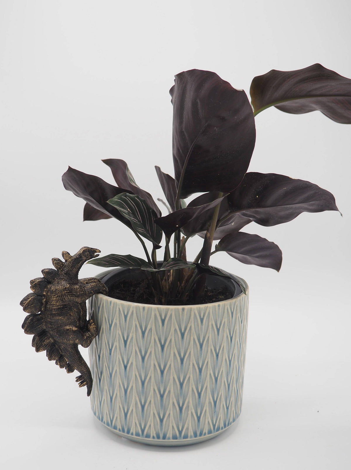 Trex, Stegosaurus, Brachiosaurus Set of Three Pot Buddies Plant Pot Hangers